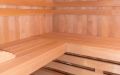 Badezimmer-Sauna mit Kernapfeldekor, Innenverkleidung aus Profilholz in Erle - Innenansicht, Einrichtung